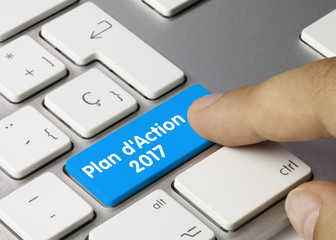 Plan d'action 2017