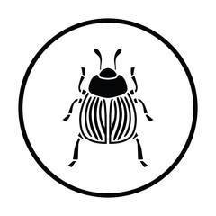 Colorado beetle icon