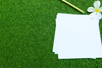 The white flower and white paper on the green yard