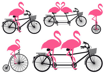 Obraz premium flamingo on bicycle, vector set