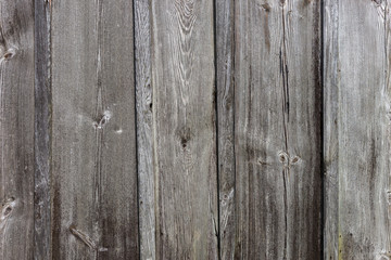 Naklejka premium The old wood texture with natural patterns