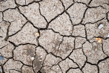 dry soil texture