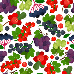 Seamless pattern with red currant, black currants, lingonberry and grapes on white background