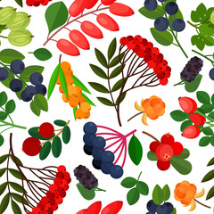 Seamless pattern with branches of yellow sea buckthorn, lingonberries, cranberries, cloudberries, rosehig and elderberry twigs on white background