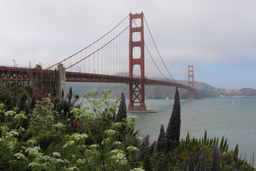 Golden Gate Bridge, San Francisco, California, USA