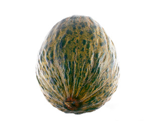santa claus melon