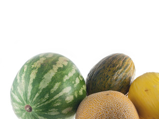 watermelon, galia melon, canary melon and santa claus melon