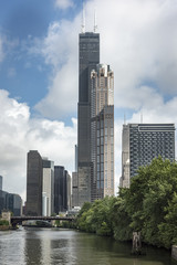 Chicago River with Towering Buildings