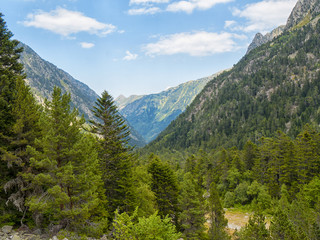 Fototapeta na wymiar mountain landscape in the Pyrenees, France