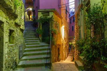 Narrow dark alley and stairway in the old town - typical Italian charming street decoration with plants and flowers at night in fishing village Vernazza, Five lands, Cinque Terre National Park