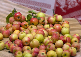 ripe wild apple tree crop on the table