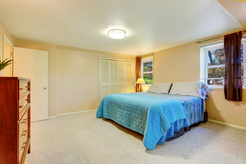 Brown and blue bathroom interior with carpet floor