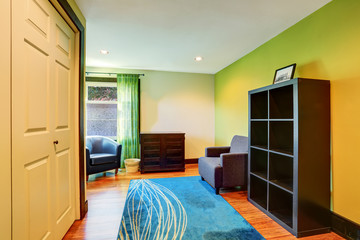 Sitting room interior in green and blue colors