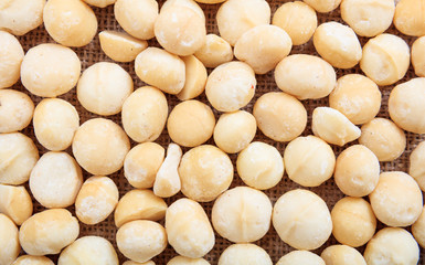 Macadamia nuts as background