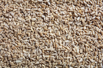 Sunflower seeds as background