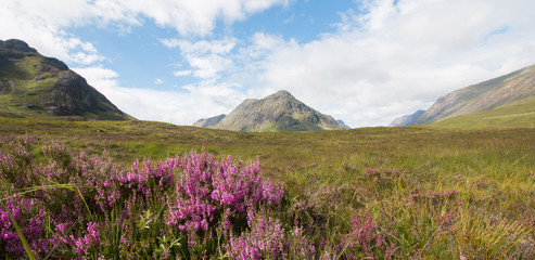 Fototapeta na wymiar Glen Coe Tal in den Highlands, Schottland, Breitbild