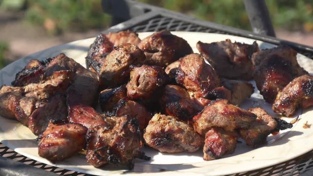 Grilled delicious meat on picnic outdoors