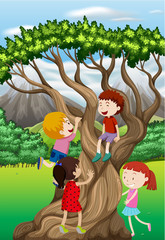 Children climbing tree in the park