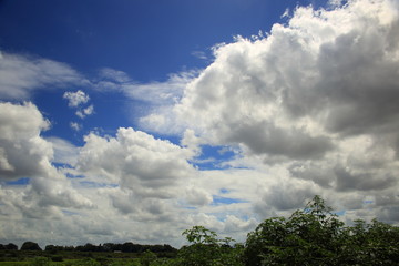 Obraz na płótnie Canvas 入道雲( Thunderhead / Cumulonimbus ) / 空を覆い始めた入道雲を撮影しました。
