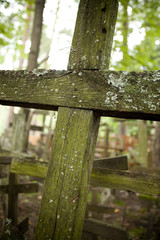 Fototapeta premium Crosses on the Holy Mountain Grabarka in Poland