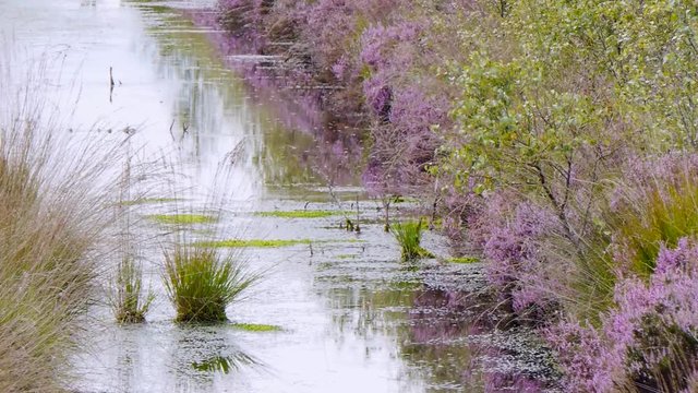 Internationaler Naturpark Bourtanger Moor-Bargerveen