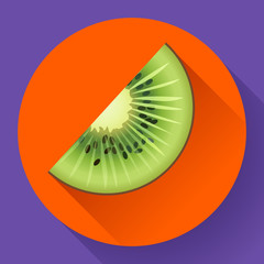 Fruit kiwi icon flat style