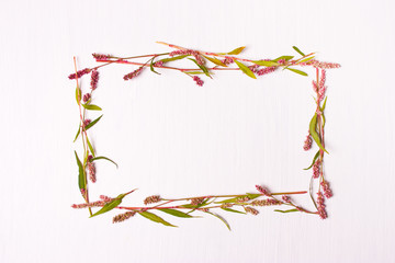 Obraz premium Frame of pink color for inscriptions