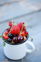 garden organic berries