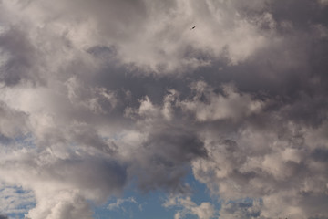 clouds before the storm
