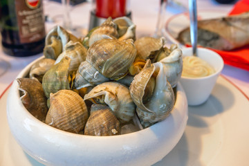 Closeup clams in dish