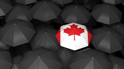 Canada  flag on umbrella over black umbrellas. 3d illustration