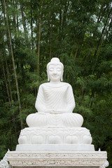 Marble Buddha sculpture under green bamboo forest background.