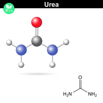 Urea Molecule And Formula