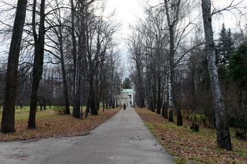 Fototapeta na wymiar Autumn Park in Leninskiye Gorki. 