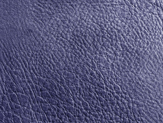 Abstract color leather surface.