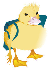 Un caneton et son cartable