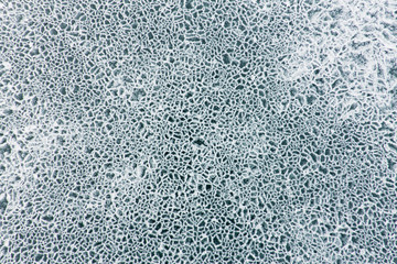 Net pattern of cracks on the blue ice of Lake Baikal