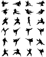 Black silhouettes of karate fighting, vector © SilhouetteDesigner