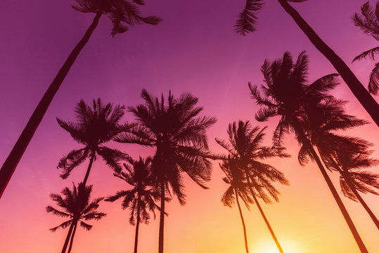 Silhouette coconut palm trees on beach at sunset. Vintage tone.