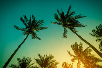 Silhouette de cocotiers sur la plage au coucher du soleil. Ton vintage.
