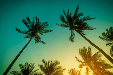 Fototapete Palme Silhouette Kokospalmen am Strand bei Sonnenuntergang. Vintage-Ton.