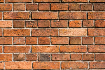 Obraz premium Red brick wall texture