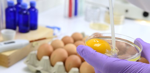 Lebensmittelhygiene Untersuchung im Labor Ei Eidotter