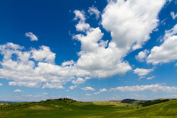Fields in Tuscany, Italy