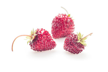 Forest strawberry isolated on white