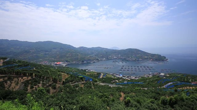 みかんの段々畑と養殖いかだ（愛媛県八幡浜川上）／右パン