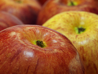 red and yellow apples closeup, macro, shallow depth of field
