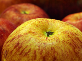 red and yellow apples closeup, macro, shallow depth of field
