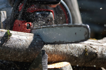 chainsaw to cut firewood