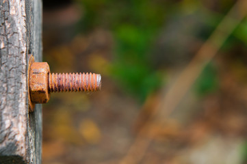 Rust bolt and nut on wood.
